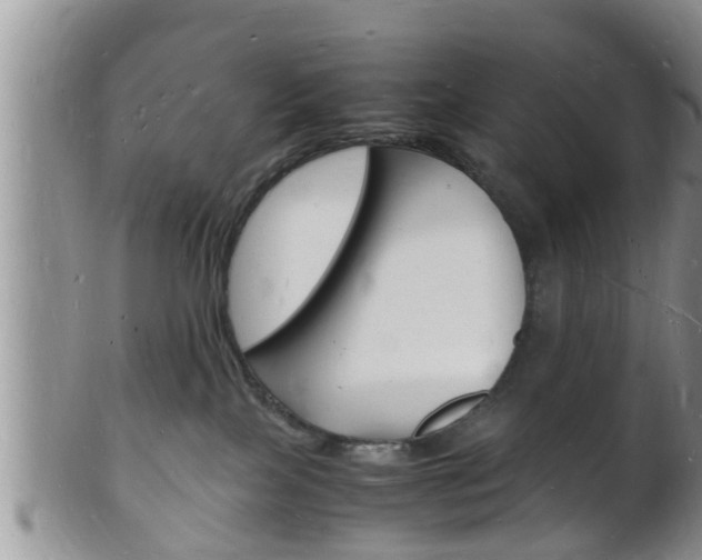 X0000102780089200808180941