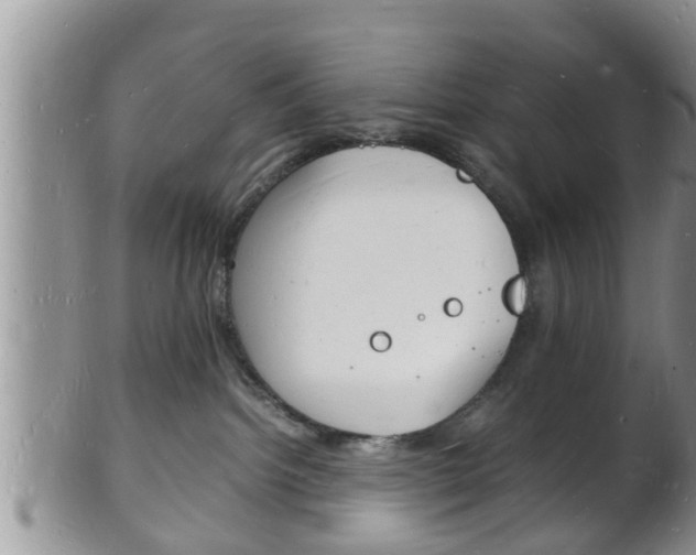 X0000102780092200808180941