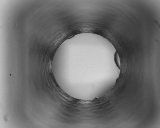 X0000102780093200808180941