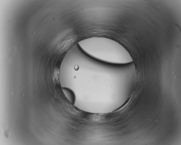 X0000102780094200808180941