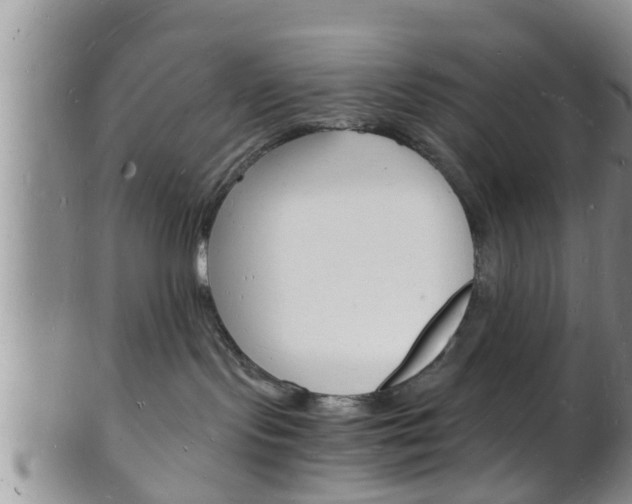 X0000102780095200808180941