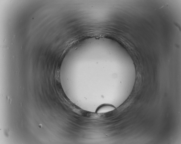 X0000102780096200808180941