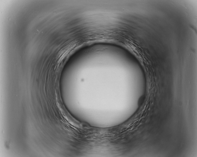 X0000102780097200808180940