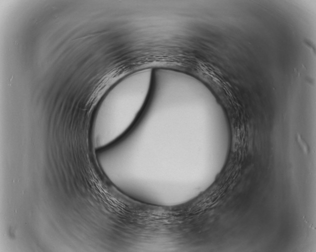 X0000102780098200808180940