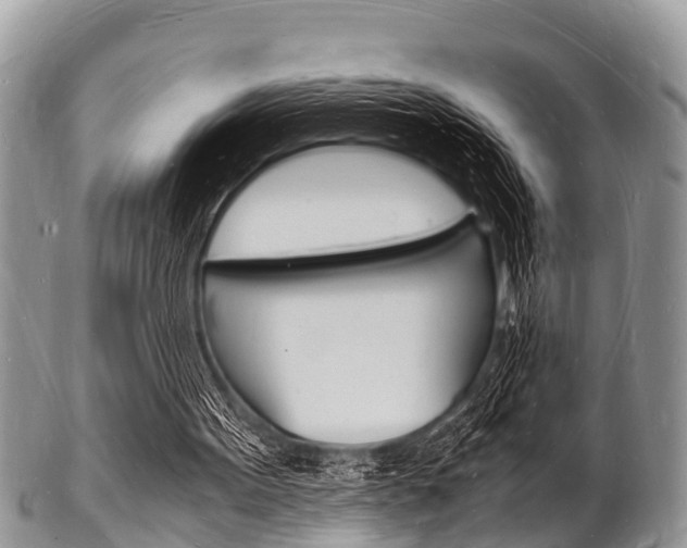 X0000102780099200808180940