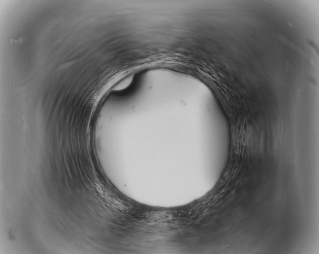 X0000102780100200808180940