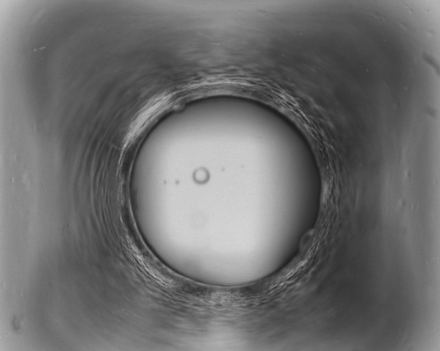 X0000102780101200808180940