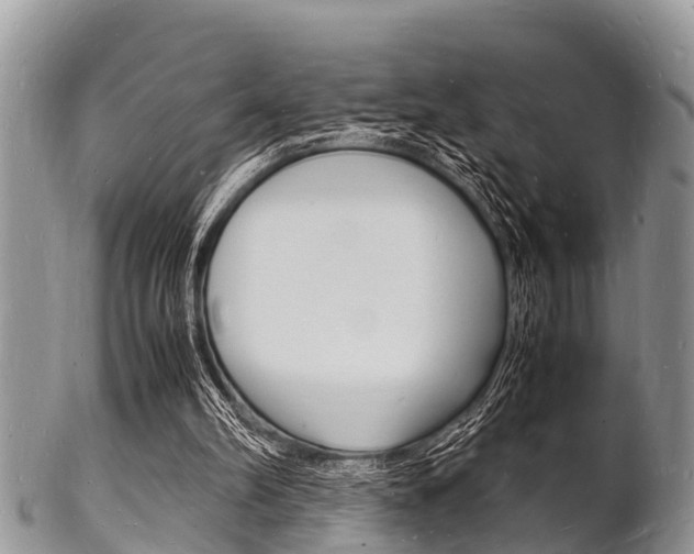 X0000102780102200808180940