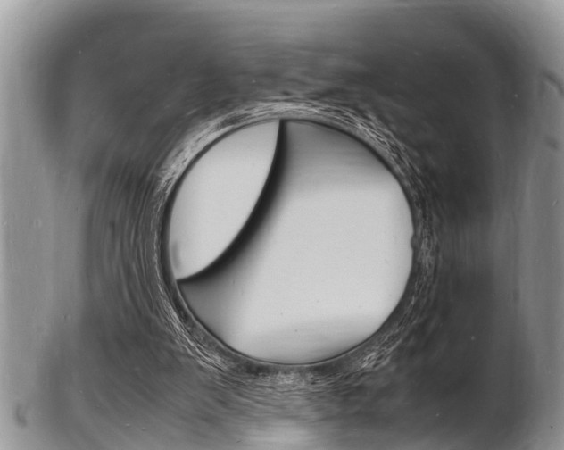 X0000102780103200808180940