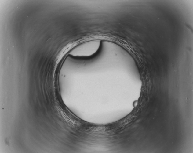 X0000102780104200808180940