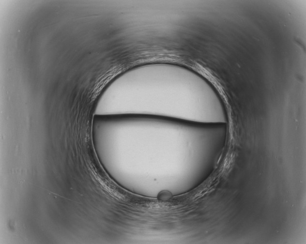 X0000102780105200808180940