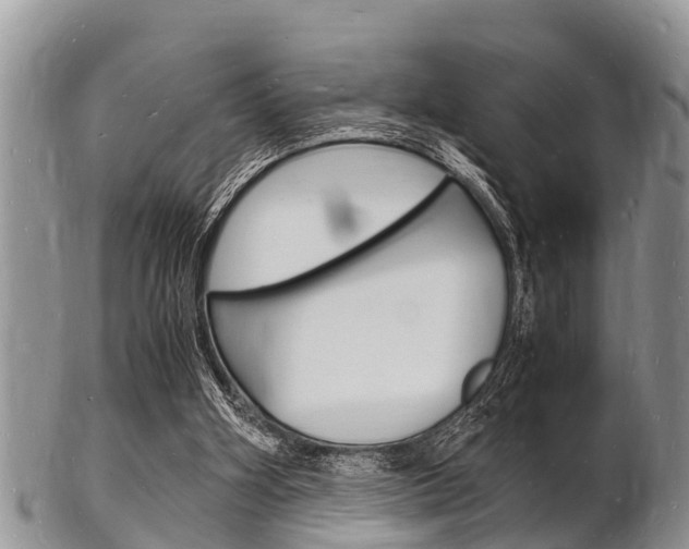 X0000102780106200808180940