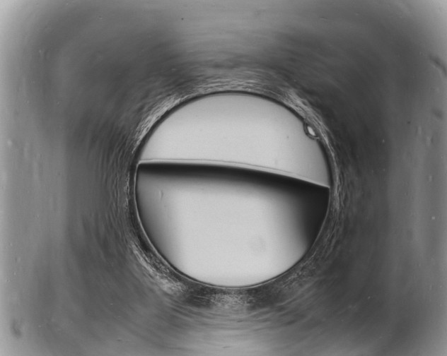 X0000102780107200808180940