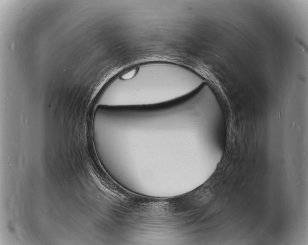 X0000102780108200808180940