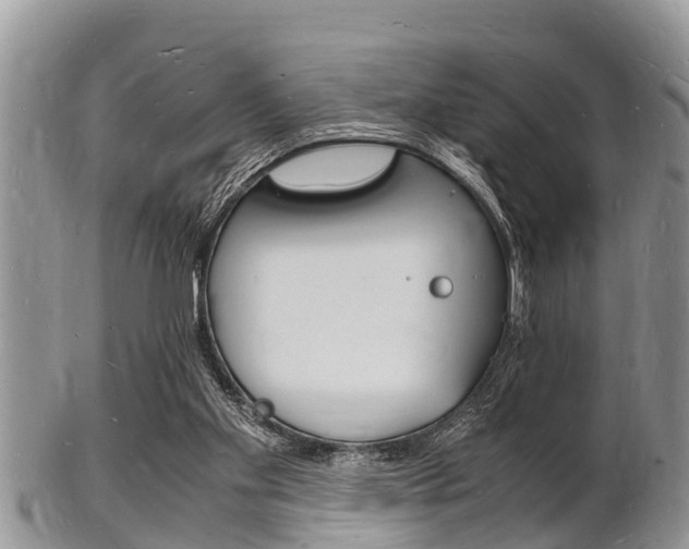 X0000102780109200808180940