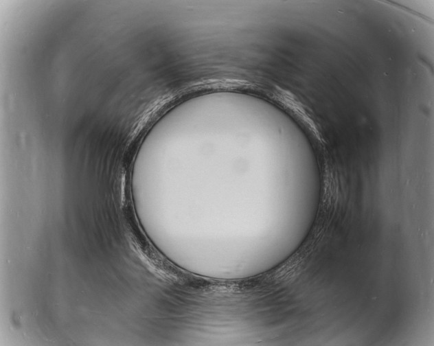 X0000102780110200808180940