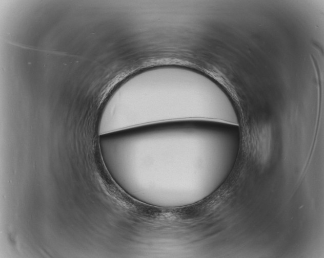 X0000102780111200808180940