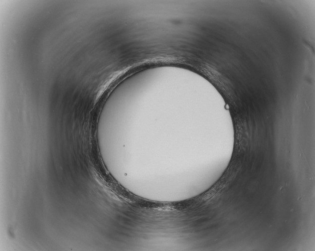 X0000102780112200808180940