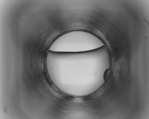 X0000102780114200808180940