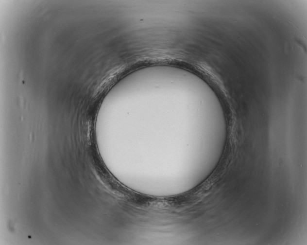 X0000102780115200808180940