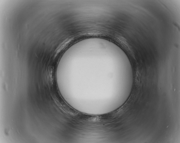 X0000102780116200808180940