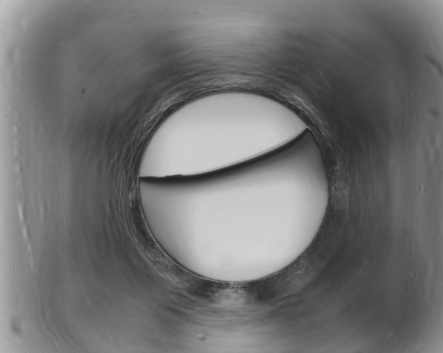 X0000102780119200808180940