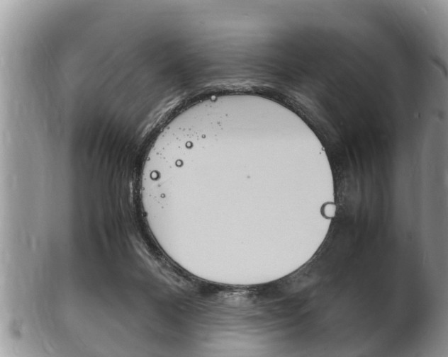 X0000102780120200808180940