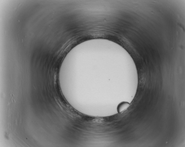 X0000102780124200808180940