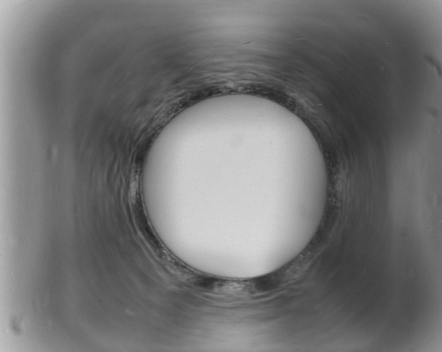 X0000102780129200808180940