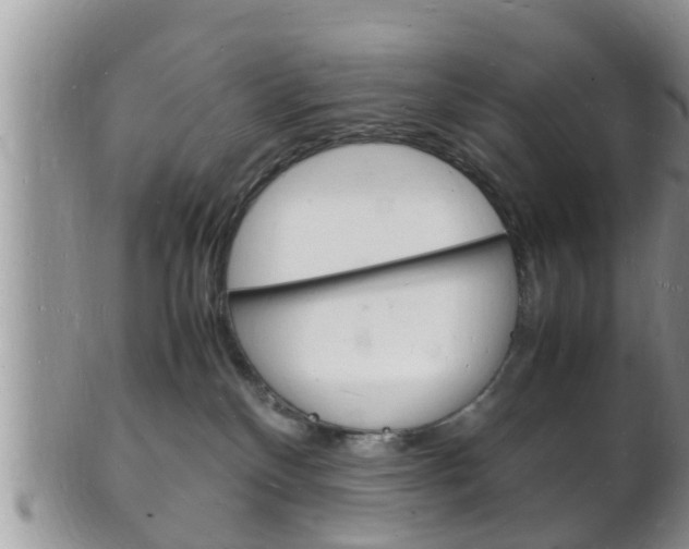 X0000102780136200808180940