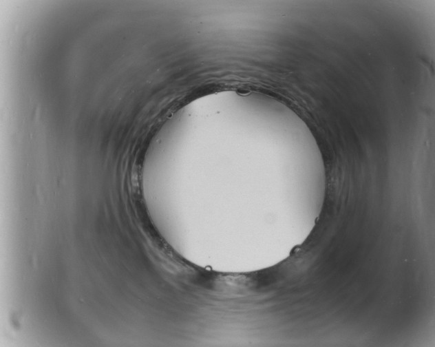 X0000102780137200808180940