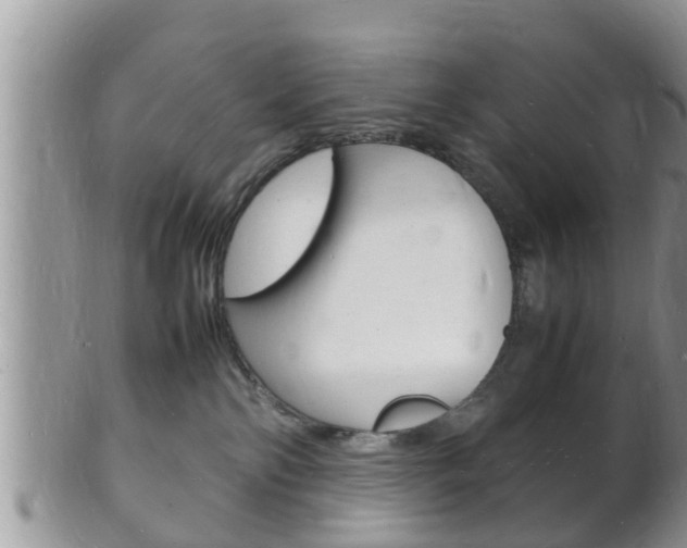 X0000102780138200808180940