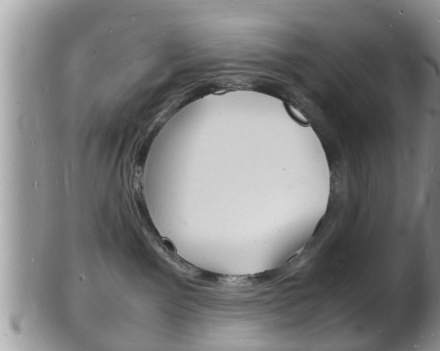 X0000102780141200808180940