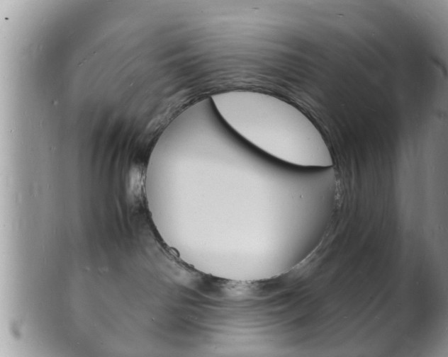 X0000102780142200808180940