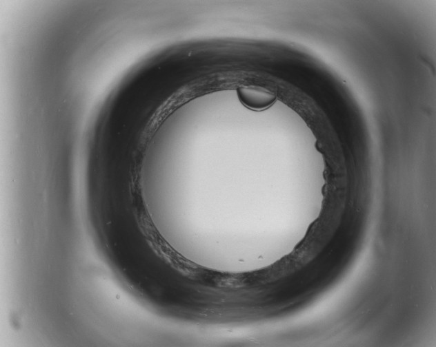 X0000102780143200808180940