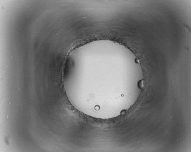 X0000102780144200808180940