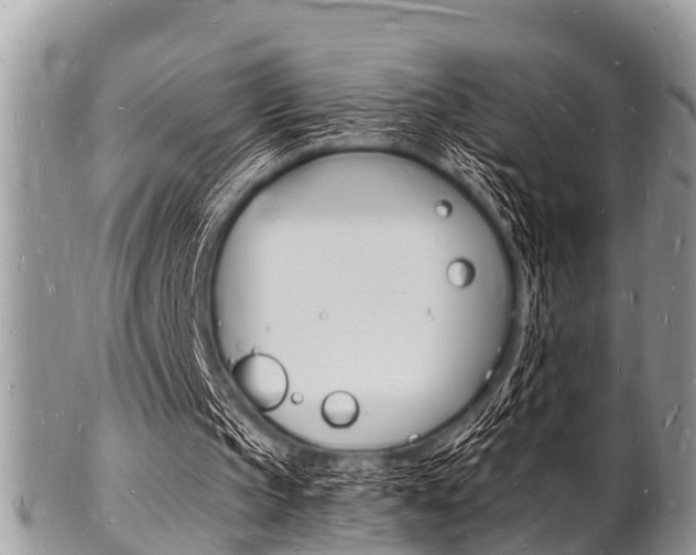 X0000102780145200808180939