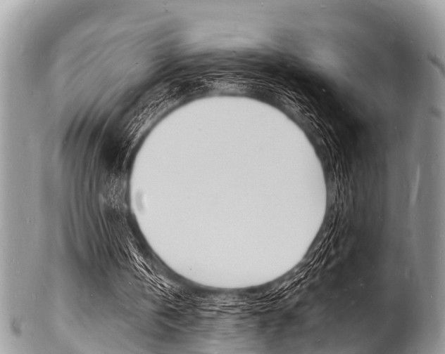 X0000102780146200808180939