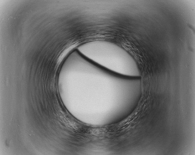 X0000102780147200808180939