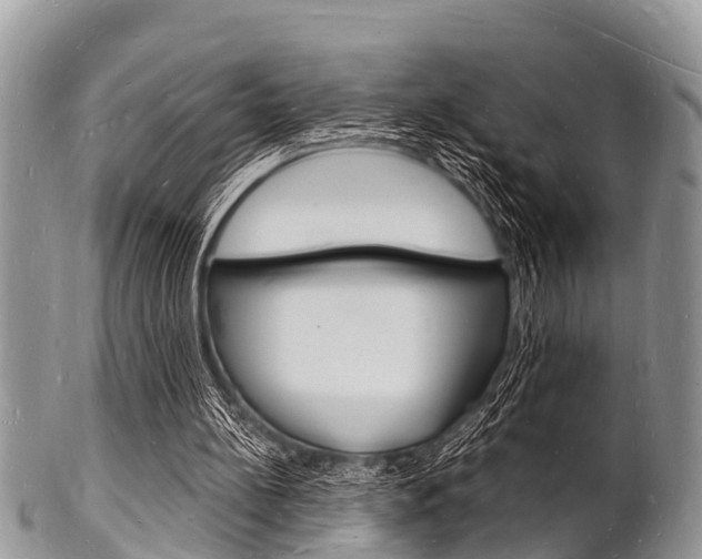 X0000102780148200808180939