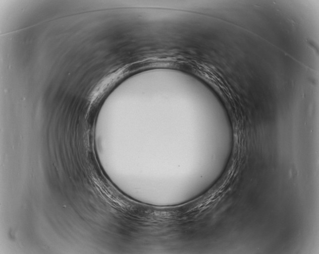 X0000102780149200808180939