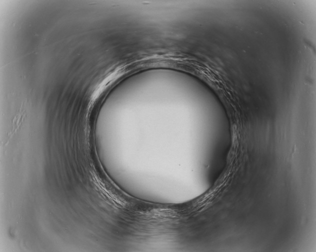 X0000102780150200808180939