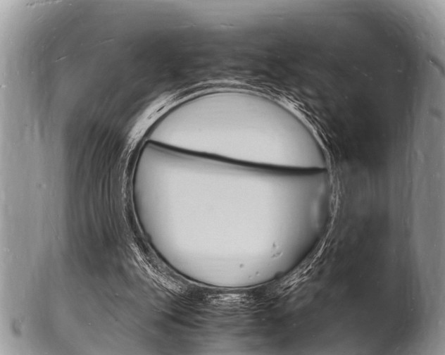 X0000102780151200808180939