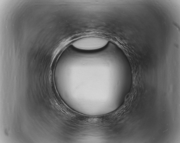 X0000102780152200808180939