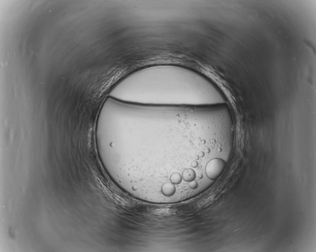 X0000102780153200808180939