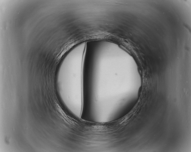 X0000102780154200808180939