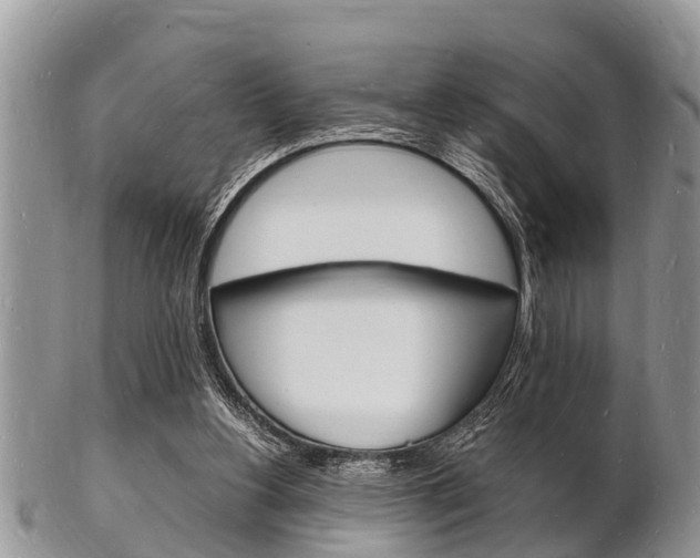 X0000102780156200808180939