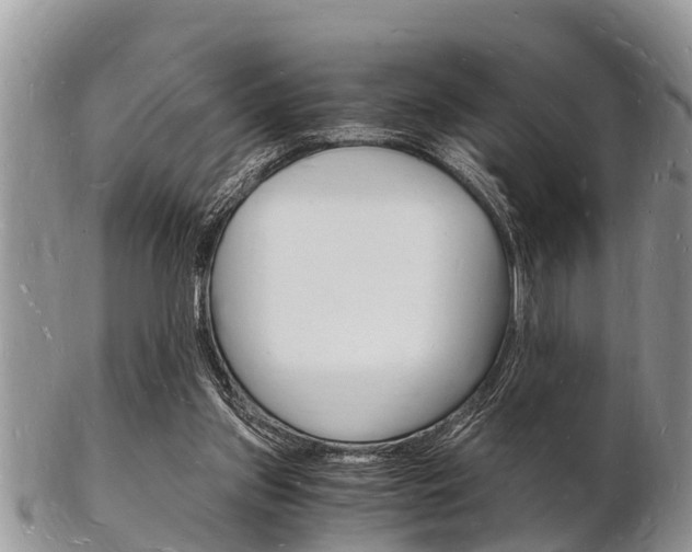 X0000102780157200808180939