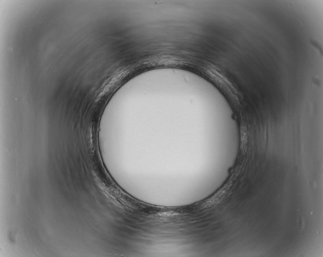 X0000102780158200808180939