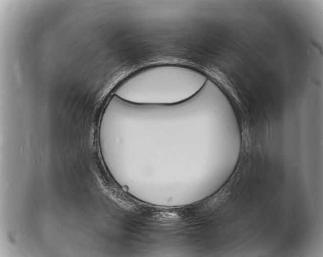 X0000102780159200808180939